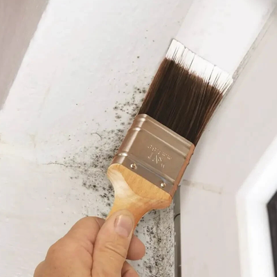 Specialist Paints