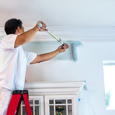 Wall & Ceiling Paint